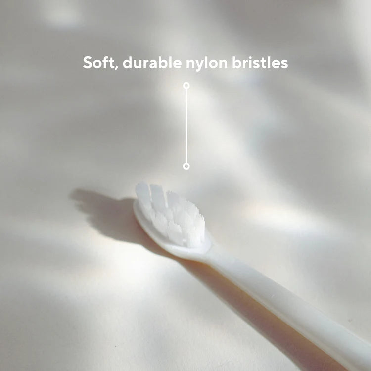 Electric Toothbrush Replacement Heads